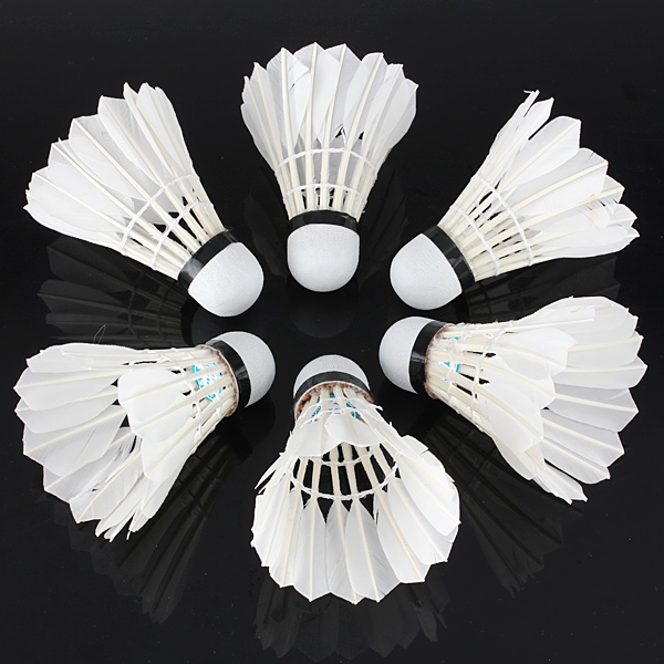 6 x Weiße Gänsefedern Badminton Ballsport Sport Sporttraining